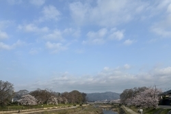 北山エリアの鴨川。