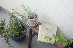全室南向きのお部屋の採光はとてもよく景色も◎ベランダも植物がよく育ちます。