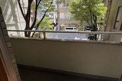 エントランスの緑が気持ちがいいです◎東向きの窓からは、朝陽が気持ちよく差し込みます。