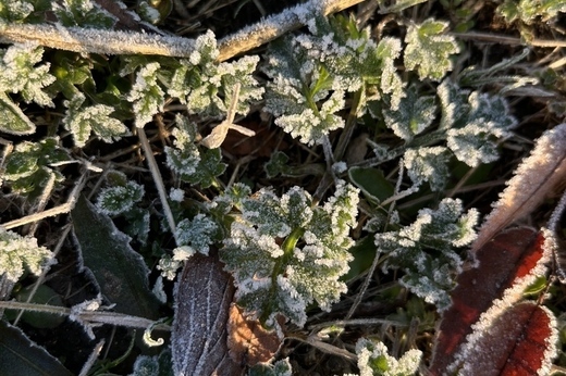 本年もよろしくお願いします。