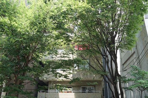 MUROMACHI PLACE｜303号室募集のお知らせ
