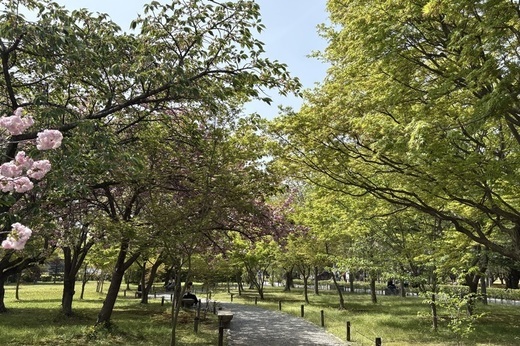 京都｜マンション入居者募集情報（新着情報あり！）