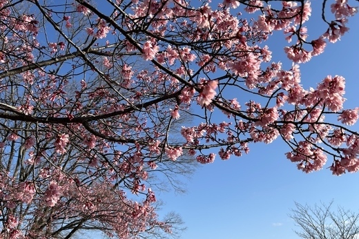 京都｜入居者・テナント募集情報（新着情報あり！）