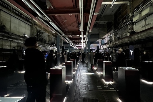 Azuma Makoto Exhibition ”X-Ray FLOWERS”