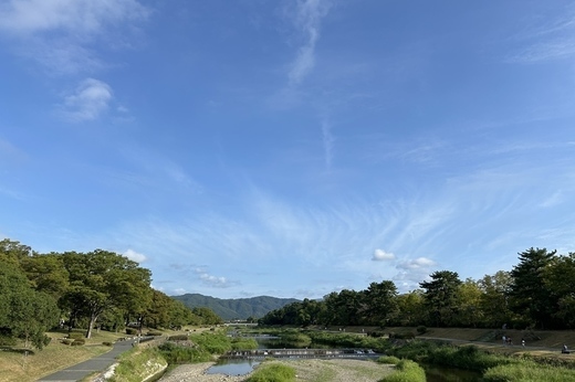 京都｜マンション入居者募集情報（新着情報あり！）
