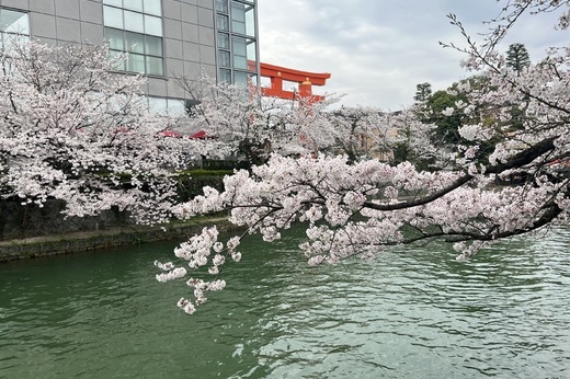 京都｜店舗・オフィス物件募集情報（烏丸六角角地）