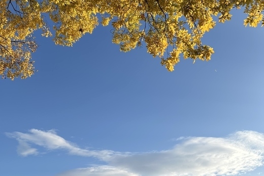 お得なキャンペーン、スタートします。