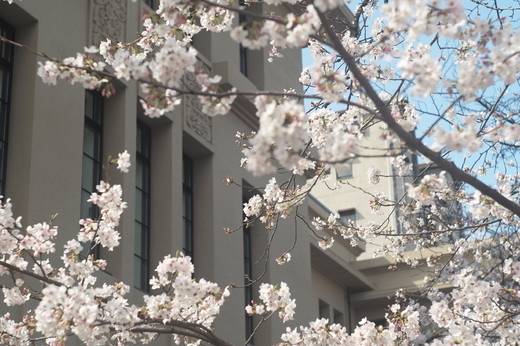 京都｜マンション入居者募集情報（新着情報あり！）